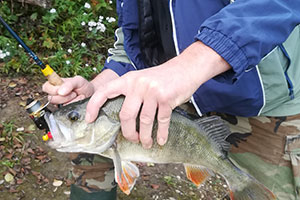 Séminaire entreprise pêche