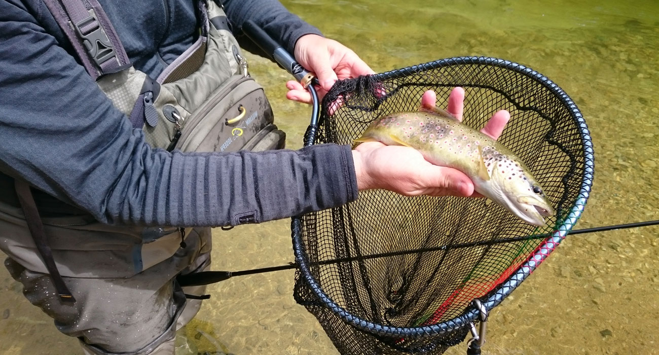 Séjour de pêche à la mouche