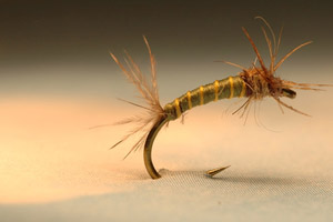 Stage / Cours de pêche à la mouche