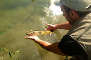 cours de pêche a la truite