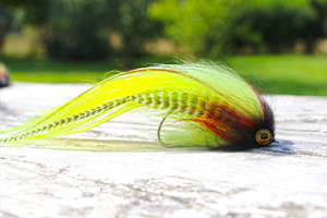 Stage de peche carnassier au streamer