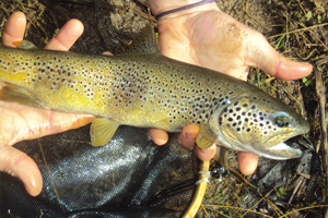 pêche de la truite avec un guide